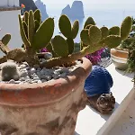 Hébergement de vacances Marina Piccola Ai Faraglioni Capri