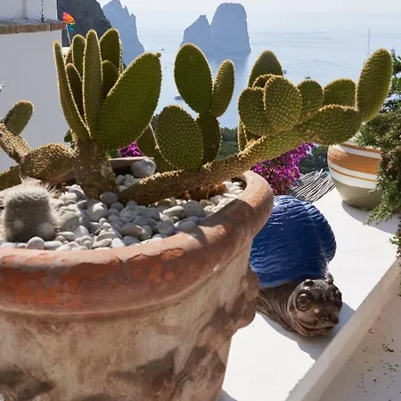 Holiday home Marina Piccola Ai Faraglioni Capri